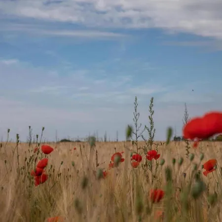 Idyllic Lakeside Botel